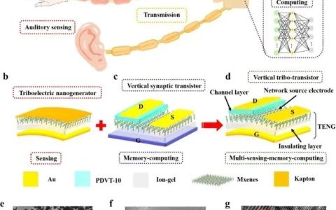 一种基于MXenes的自供电垂直摩擦晶体管VTT