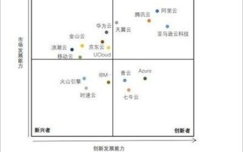 亚马逊云科技获评中国公有云市场领导者 其创新发展能力在报告中居于首位