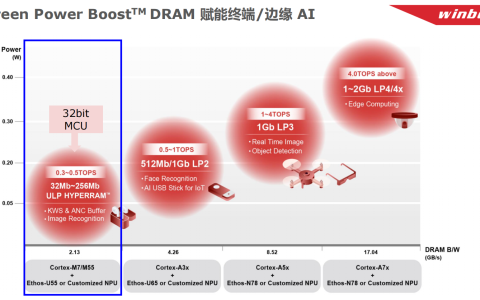 华邦电子从产品到LTS制程技术践行节能减碳