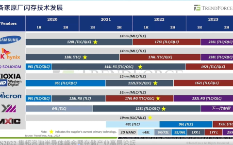 服务器支撑闪存芯片市场增长，上下游企业加速布局基础设施、汽车新兴领域