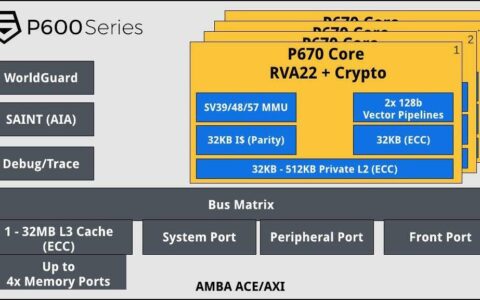 近四年过去，RISC-V高性能核心市场格局可有改变？