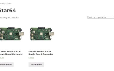 Pine64首款RISC-V单板计算机Star64发售：69.99 美元起，搭载赛昉JH7110 芯片