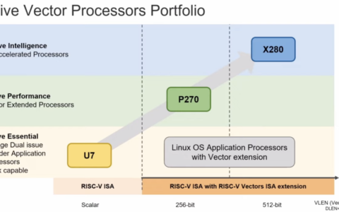 通用计算仍有差距，RISC-V可靠矢量处理弯道超车