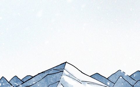 2022年的魔力象限领导者，为什么是华为数通？