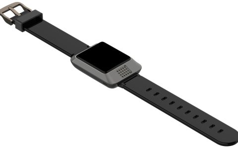 长跑10年，比亚迪要推出智能控车手表