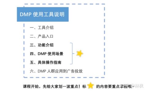 2022拼多多新版DMP工具商家使用手册！