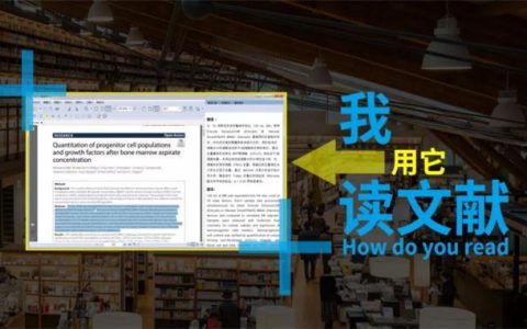 超好用知云文献翻译下载方式