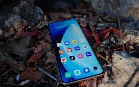 手机市场内卷开始：曲面屏“杀入”千元机