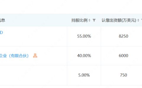 特斯拉：没有在中国布局芯片公司