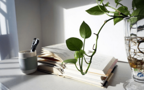 全日制和非全日制的学费有什么区别?（全日制的学费比非全日制便宜还是贵?）