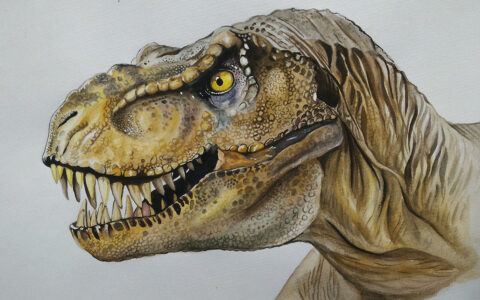 霸王龙最怕的恐龙，它到底是谁？