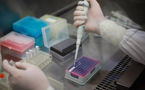 武陵区核酸检测费用是多少？多久出结果？看这篇就懂了-武陵区新冠疫苗接种指定地点查询