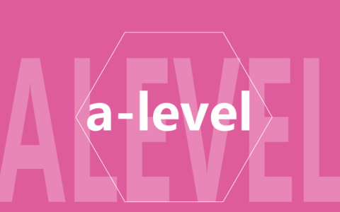 alevel是什么意思？(alevel中文)
