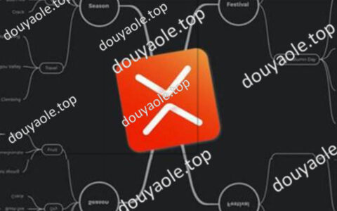 XMind绿色版：一种流行的思维导图工具软件