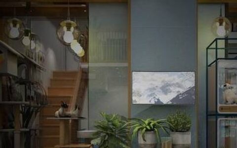 在二线城市开宠物店一年利润怎么样？