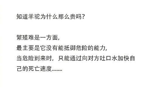 男生寝室的关系有多可怕-男生宿舍关系好到什么程度合适