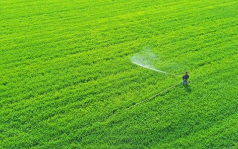 农村未来10大暴利行业（农村暴利赚钱项目）