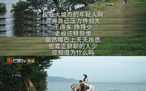 去有风的地方，在有风的地方被治愈(在有风的地方做暖阳是啥歌)