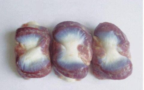 农村老话“一个鸡胗三副药”是什么意思？有道理吗？