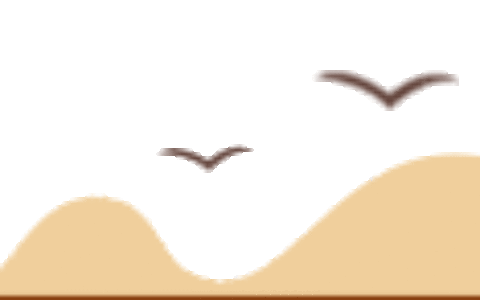 这些写过千百遍的字，你确定写对了吗？(千字百元)