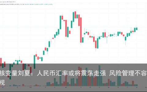 云核变量刘夏：人民币汇率或将震荡走强 风险管理不容忽视
