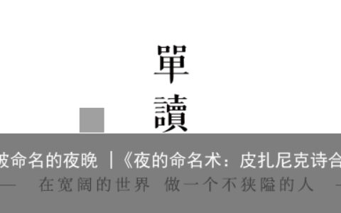 那些无法被命名的夜晚 |《夜的命名术：皮扎尼克诗合集》新书分享会