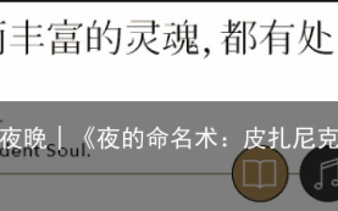 那些无法被命名的夜晚│《夜的命名术：皮扎尼克诗合集》新书分享会