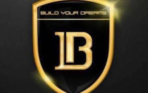 叫比亚迪是什么意思？