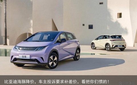比亚迪海豚降价，车主投诉要求补差价，看把你们惯的！