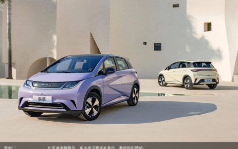 比亚迪海豚降价，车主投诉要求补差价，看把你们惯的！