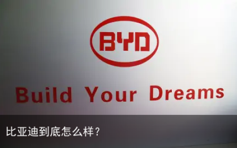 比亚迪到底怎么样？