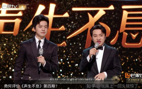 如何评价《声生不息》第四期？