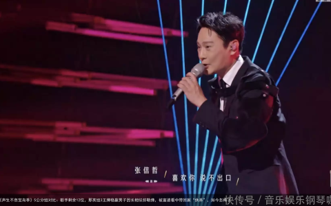 《声生不息宝岛季》5公分组对比：歌手剩余12位，那英组3王牌稳赢