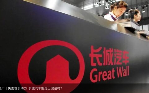 电厂丨失去增长动力 长城汽车能走出泥沼吗？