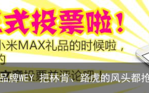 长城汽车高端SUV品牌WEY 把林肯、路虎的风头都抢了？