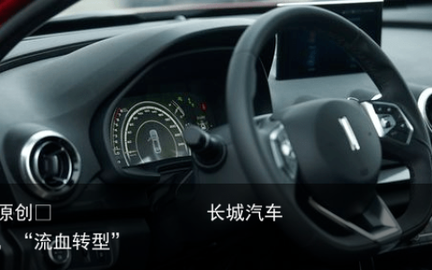 长城汽车，“流血转型”