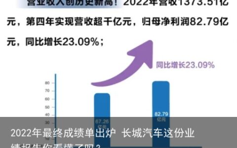 2022年最终成绩单出炉 长城汽车这份业绩报告你看懂了吗？