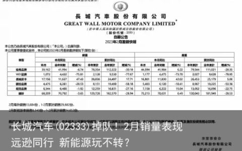长城汽车(02333)掉队！2月销量表现远逊同行 新能源玩不转？