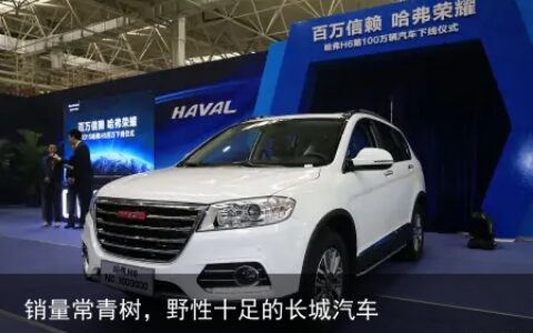 销量常青树，野性十足的长城汽车