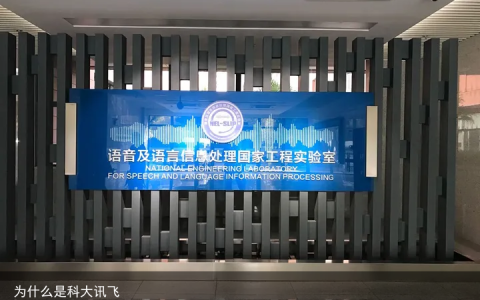 为什么是科大讯飞