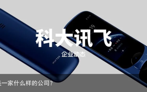 科大讯飞是一家什么样的公司？