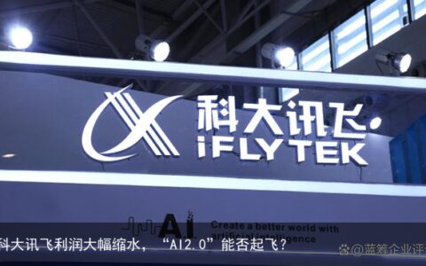 科大讯飞利润大幅缩水，“AI2.0”能否起飞？