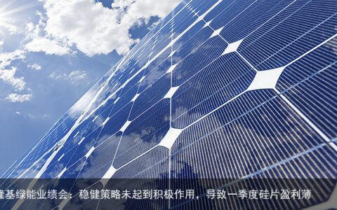 隆基绿能业绩会：稳健策略未起到积极作用，导致一季度硅片盈利薄