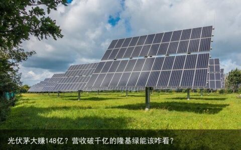 光伏茅大赚148亿？营收破千亿的隆基绿能该咋看？