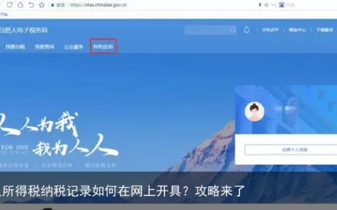 个人所得税纳税记录如何在网上开具？攻略来了