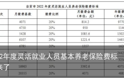 2022年度灵活就业人员基本养老保险费标准来了