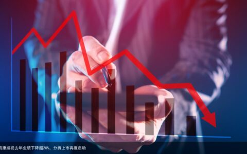 海康威视去年业绩下降超20%，分拆上市再度启动