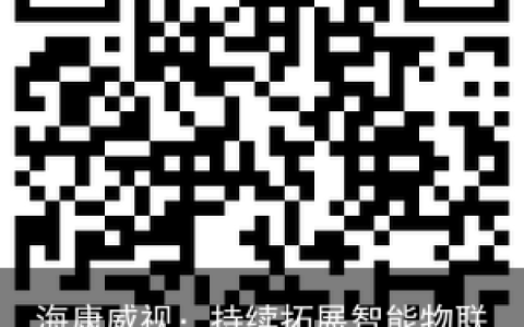 海康威视：持续拓展智能物联赛道