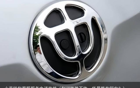 利润跌跌不休，华晨路在何方？