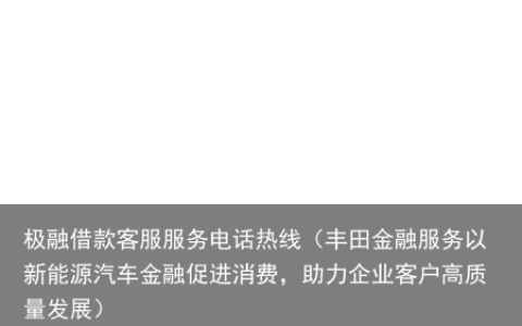 丰田金融服务以新能源汽车金融促进消费，助力企业客户高质量发展